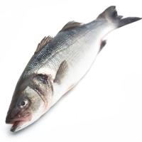 Lubina 600-800, pieza al peso aprox. 700 g