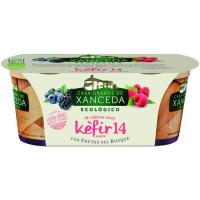 Kefir eco con frutas del bosque CASA G. DE XANCEDA, pack 2x125 g