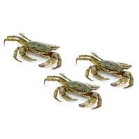 Cangrejo de mar vivo, al peso, compra mínima 500 g