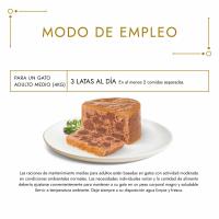 Alimento de pollo gato fondant GOURMET Gold, lata 85 g