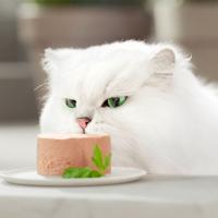 Alimento de pollo gato fondant GOURMET Gold, lata 85 g