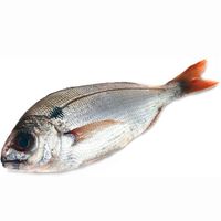 Besuguito salvaje, pieza al peso aprox. 600 g