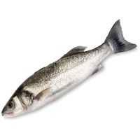 Lubina salvaje, (1-1,45 kg), pieza al peso aprox. 1.4 kg