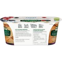 Yogur griego eco c/ fr. bosque CASA GRANDE XANCEDA, pack 2x125 g