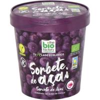 Helado sorbete de açai THE BIO FACTORY, tarrina 480 ml Helado sorbete de açai THE BIO FACTORY, tarrina 480 ml
