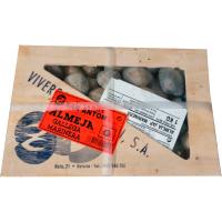 Almeja japónica marinera, caja 1 kg