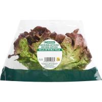Lechuga Hoja de Roble, unidad
