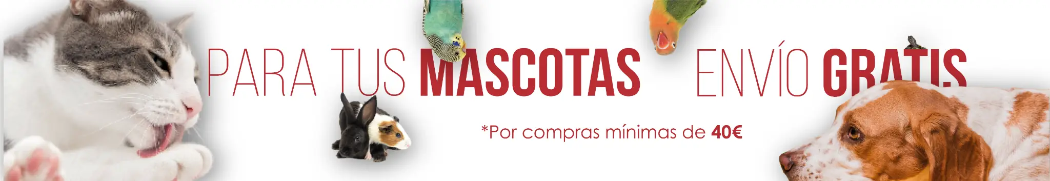 Cabecera fruta