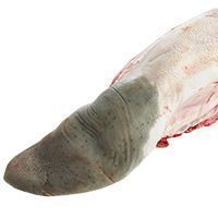 Lengua de ternera, pieza al peso aprox. 1.16 kg