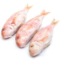 Salmonete de roca, al peso, compra mínima 500 g