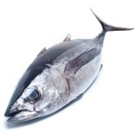 Bonito pequeño, pieza al peso aprox. 3.5 kg