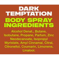 Desodorante para hombre Dark Temptation AXE, pack 2x150 ml 