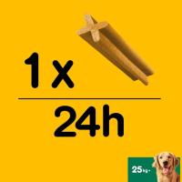 Dentastix perro pequeño PEDIGREE, paquete 440 g