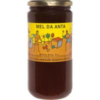 Miel ANTA, frasco 1 kg