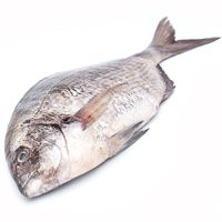 Sargo, pieza al peso aprox. 500 g