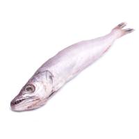 Pescadilla de arrastre, pieza al peso aprox. 500 g