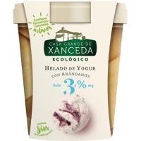 Helado de yogur-arándanos CASA GRANDE DE XANCEDA, tarrina 500 ml