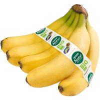 Plátano de Canarias eco EROSKI NATUR BIO, al peso, compra mínima 1 kg