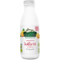 Kefir cítrico CASA GRANDE DE XANCEDA, botella 500 g