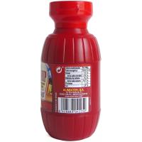 Tomate ketchup picante BANGOR, bote 290 g