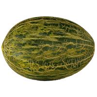 Melon piel de sapo, pieza al peso aprox. 4.5 kg