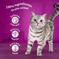 Gelatina de aves para gato WHISKAS, pack 4x85 g