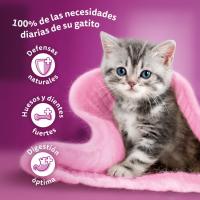 Salsa clasic junior para gato WHISKAS, pack 4x85 g