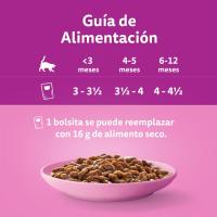 Salsa clasic junior para gato WHISKAS, pack 4x85 g