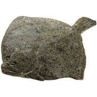 Rodaballo, pieza al peso aprox. 1.5 kg
